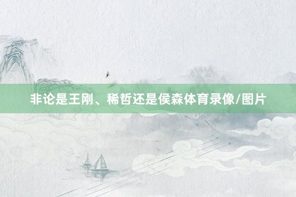 非论是王刚、稀哲还是侯森体育录像/图片