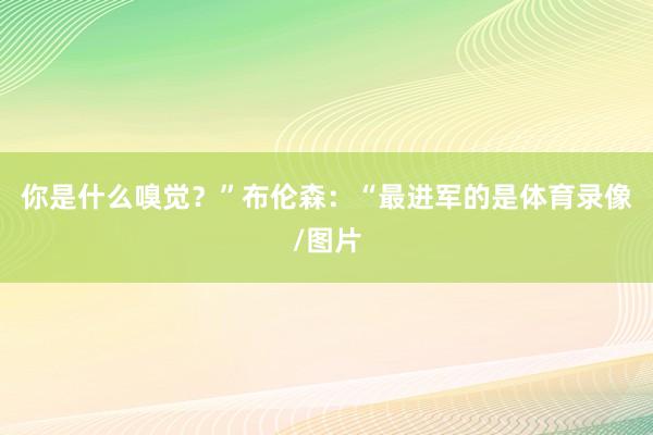 你是什么嗅觉？”布伦森：“最进军的是体育录像/图片