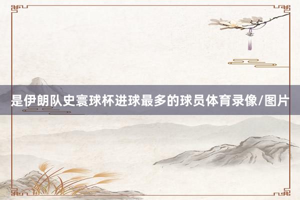 是伊朗队史寰球杯进球最多的球员体育录像/图片
