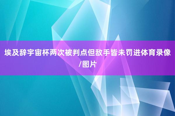 埃及辞宇宙杯两次被判点但敌手皆未罚进体育录像/图片